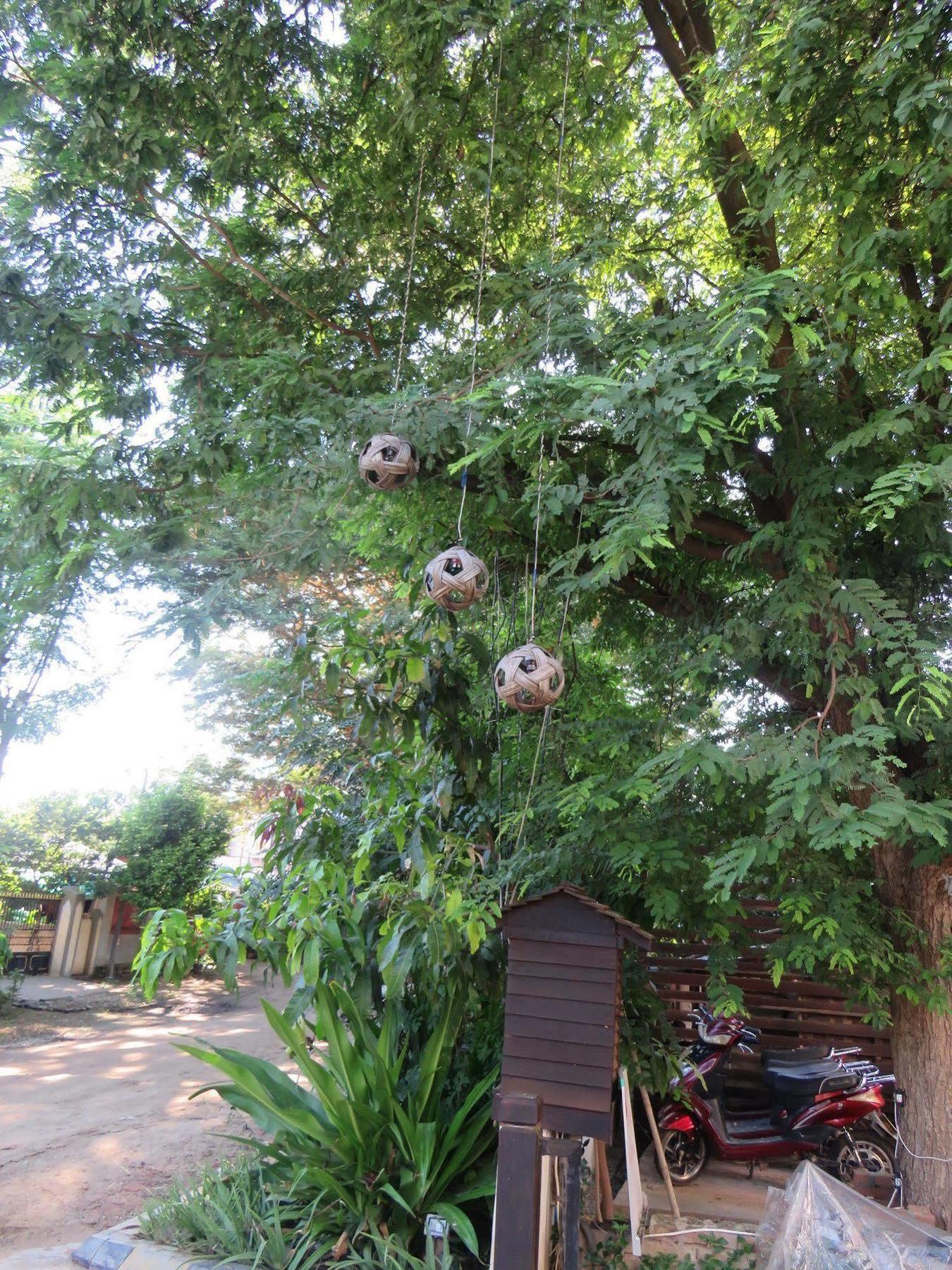 Hotel Bagan Nova New Bagan Exterior foto